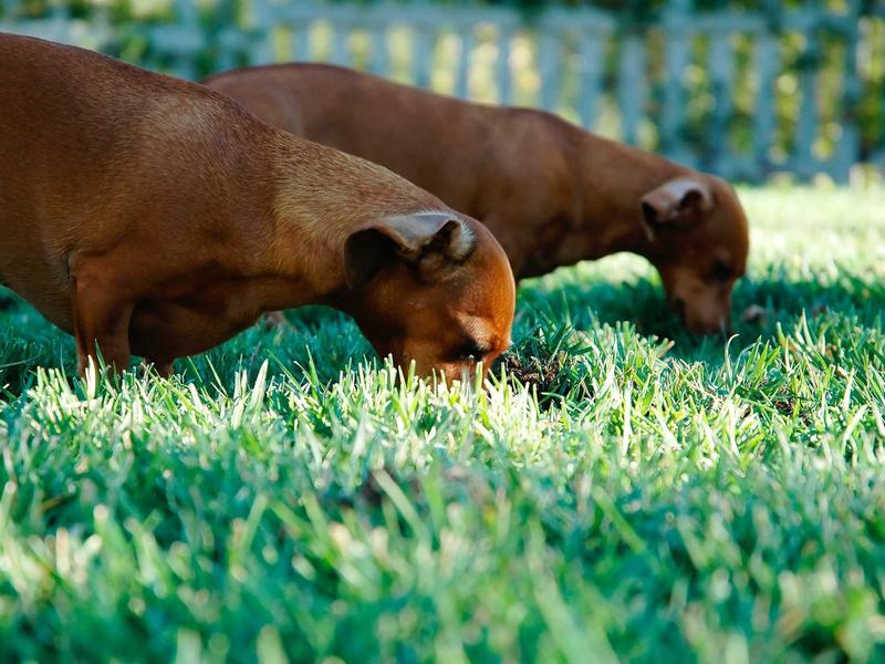 sudoku solving methods screenshot 5