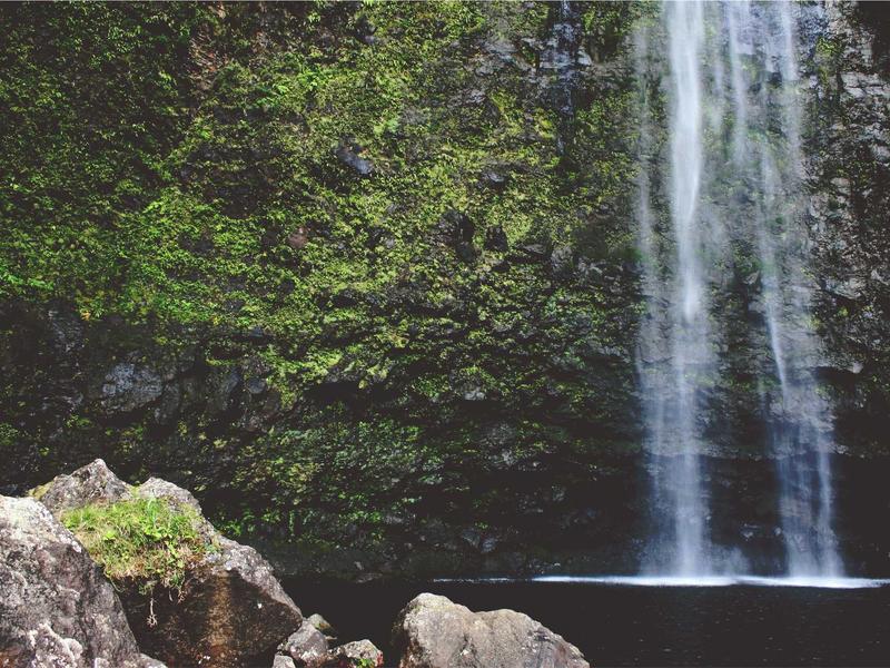 sudoku beginner tips screenshot 5